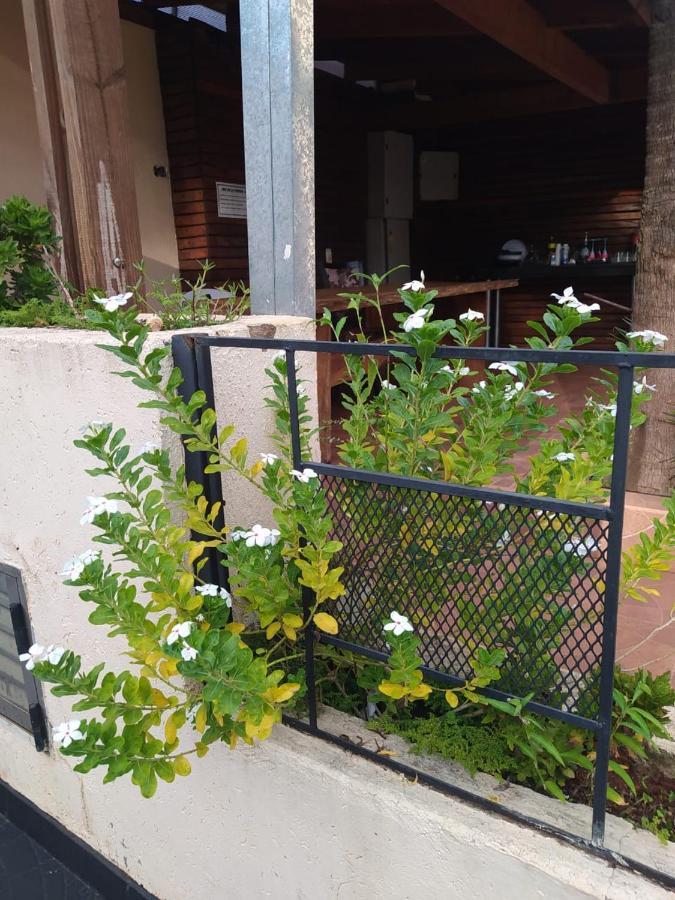 Apartamento Lapachos