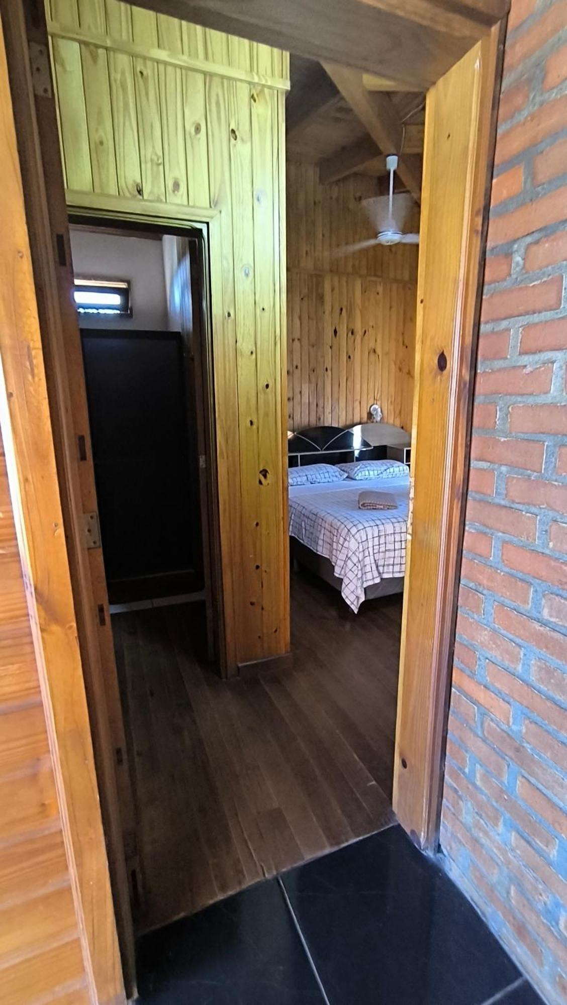 Lapachos Puerto Iguazú